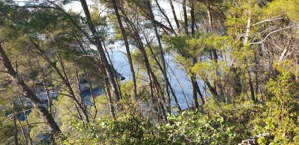 Image 6204475 - 1