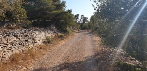 Thumbnail 6204477 - 2