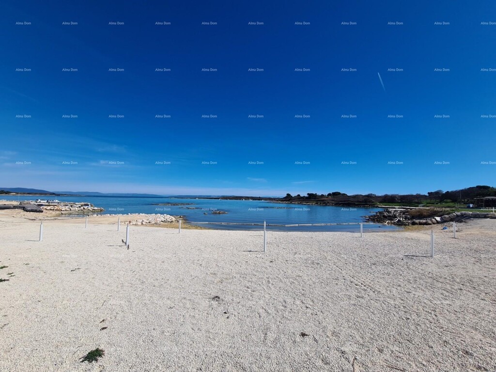 Image 6204488 - 1