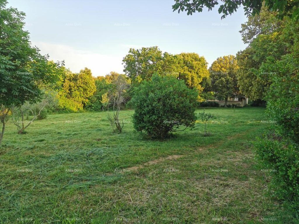Image 6204494 - 4