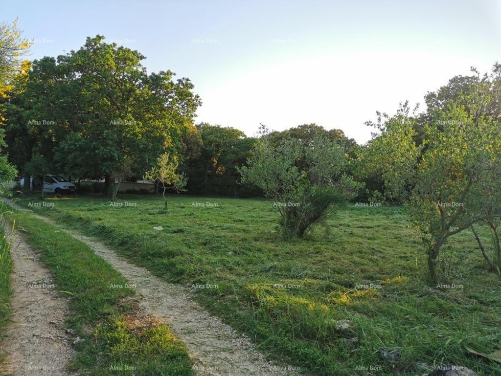 Image 6204494 - 1