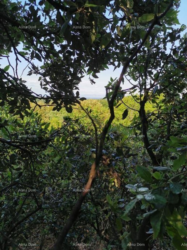 Image 6204494 - 7