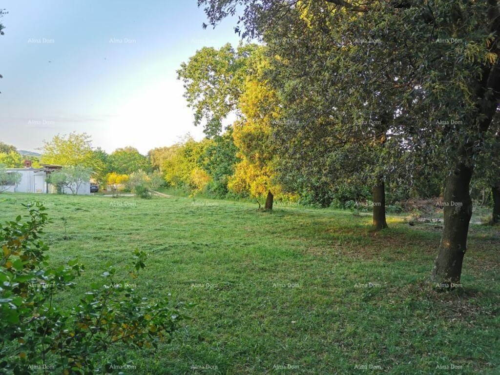 Image 6204494 - 2