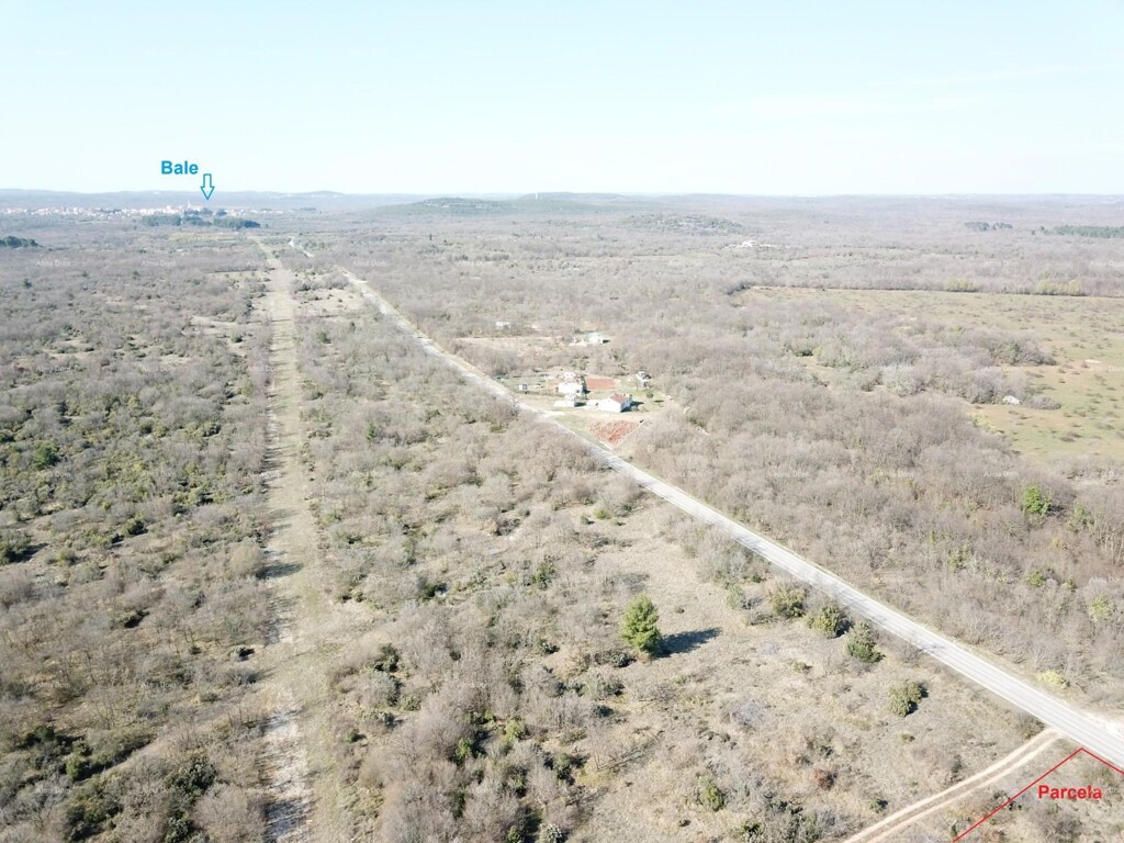 Image 6204505 - 2