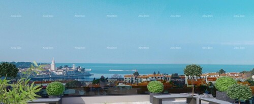Thumbnail 6204516 - 7