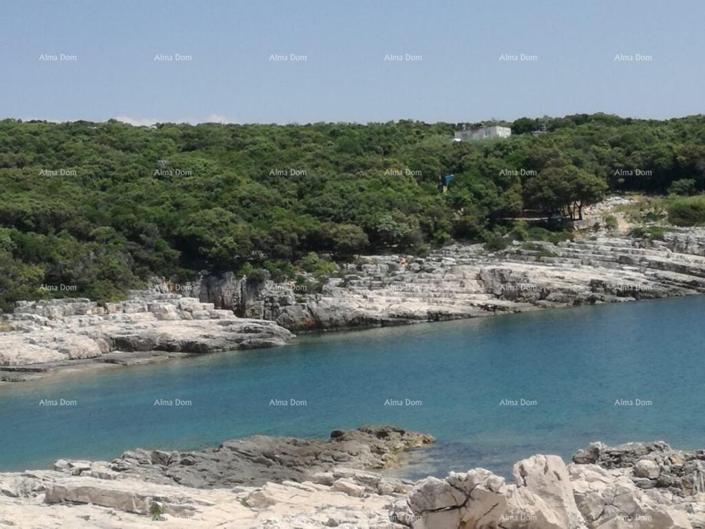 Image 6204517 - 2