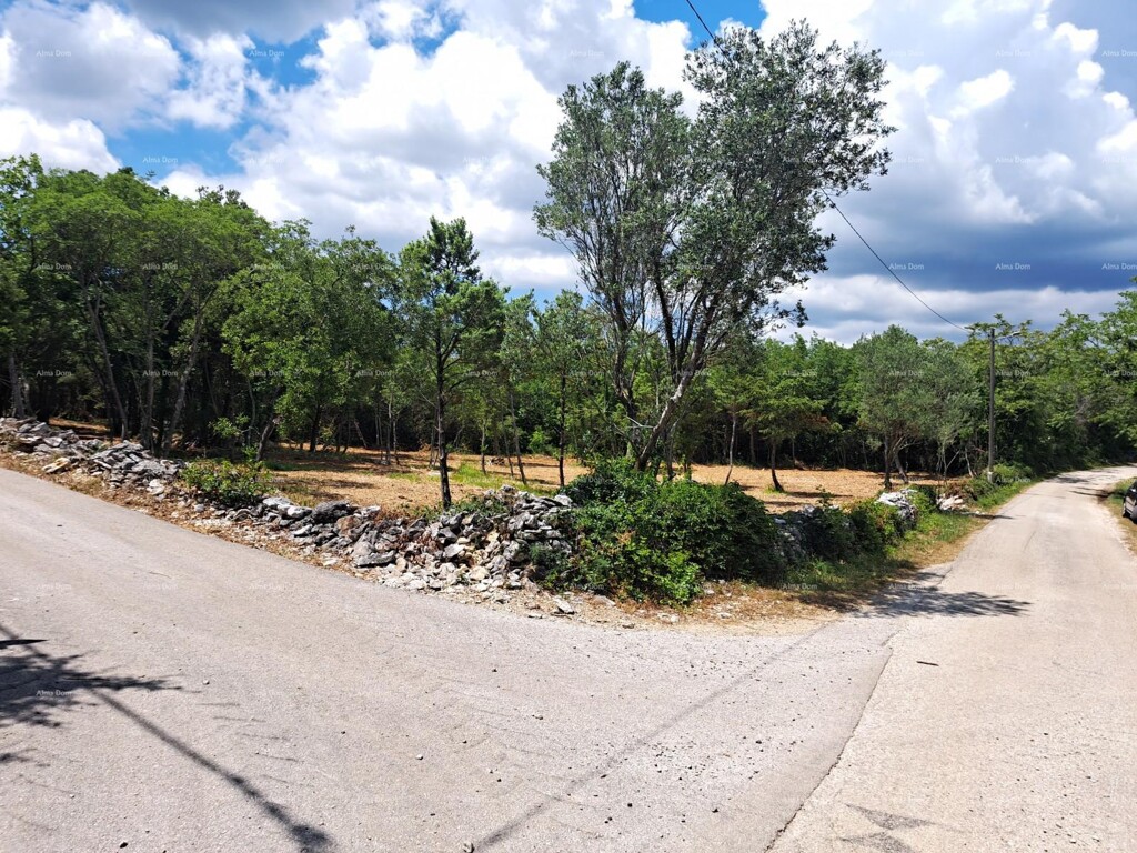 Image 6204519 - 2