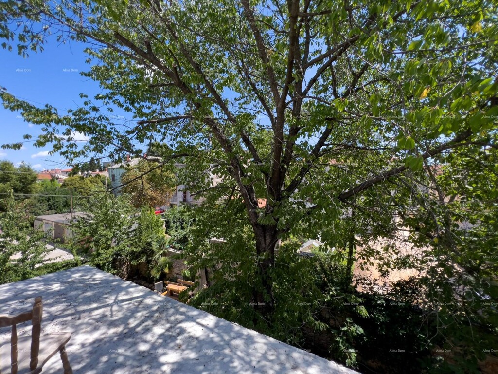 Image 6204542 - 1