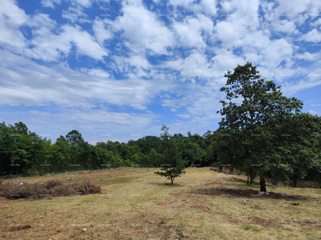 Image 6204543 - 5