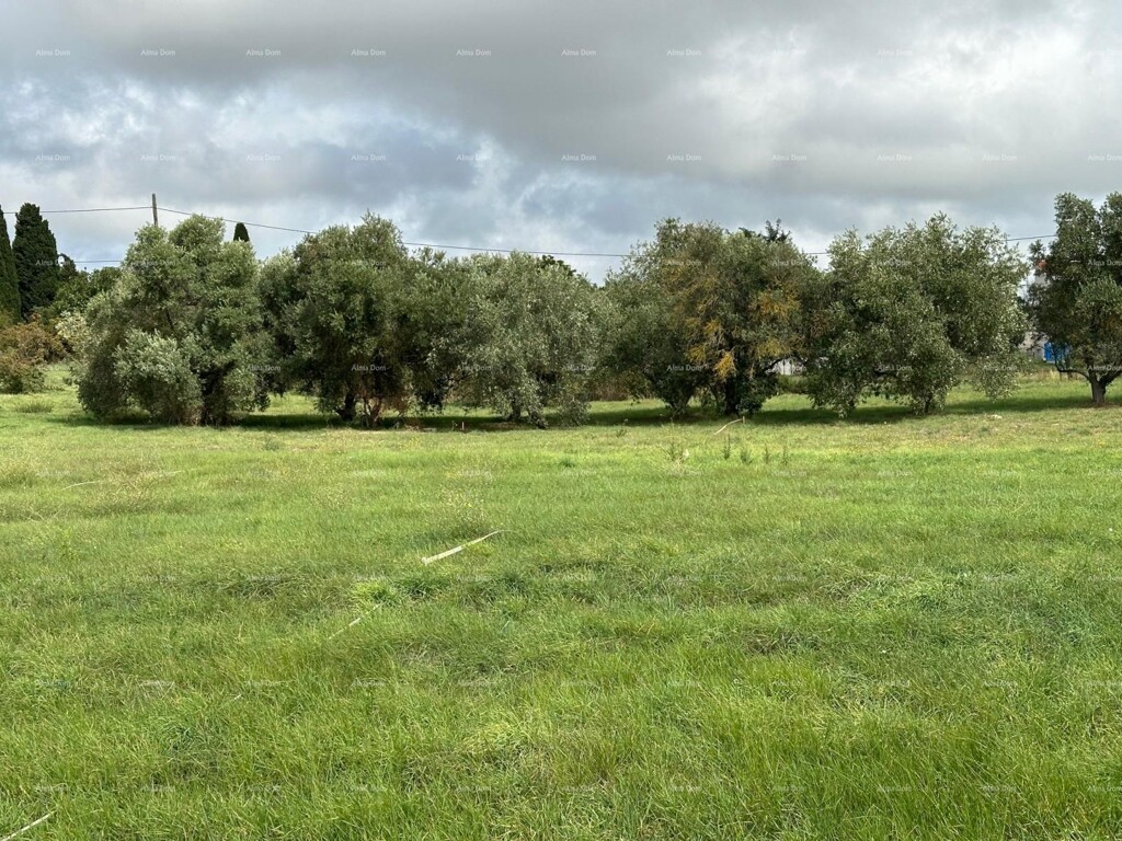 Image 6204605 - 2