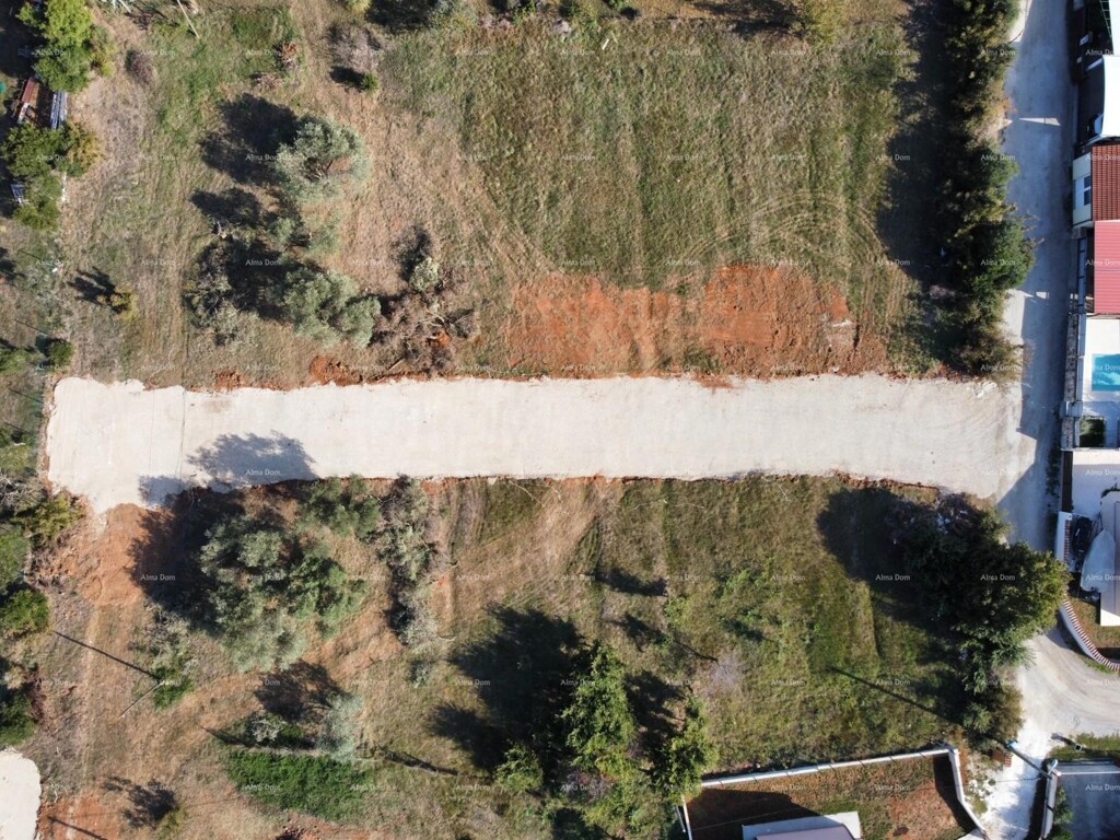 Image 6204605 - 1