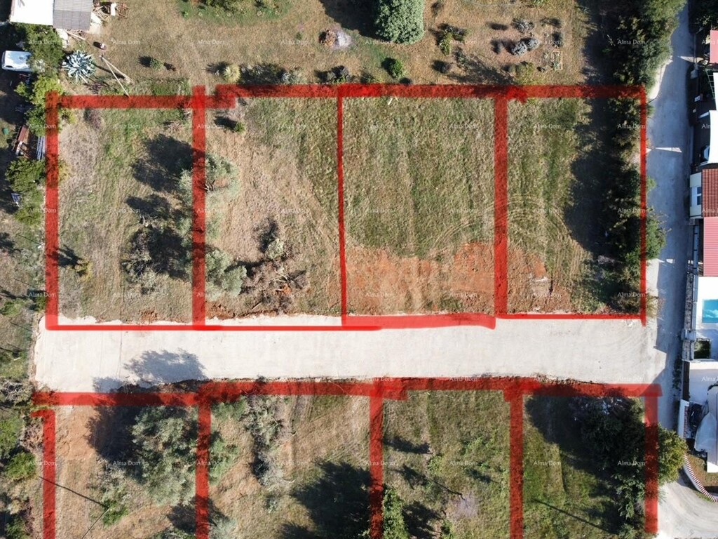 Image 6204605 - 6