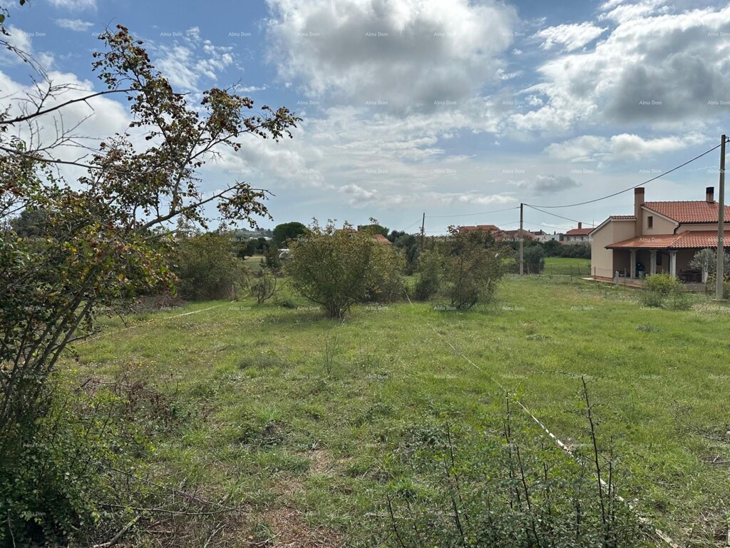 Image 6204605 - 4