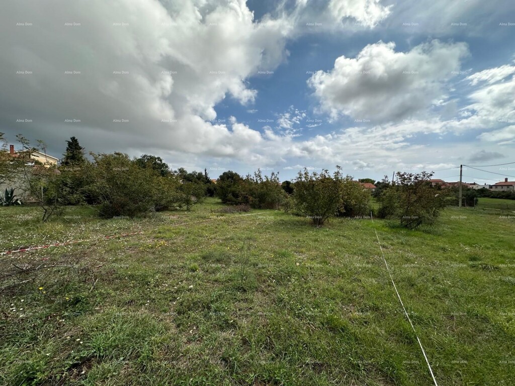 Image 6204606 - 3