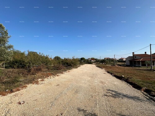 Thumbnail 6204606 - 5
