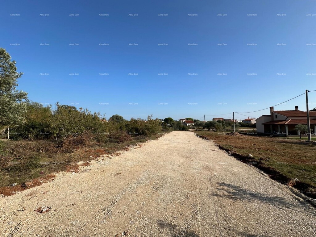 Image 6204606 - 5
