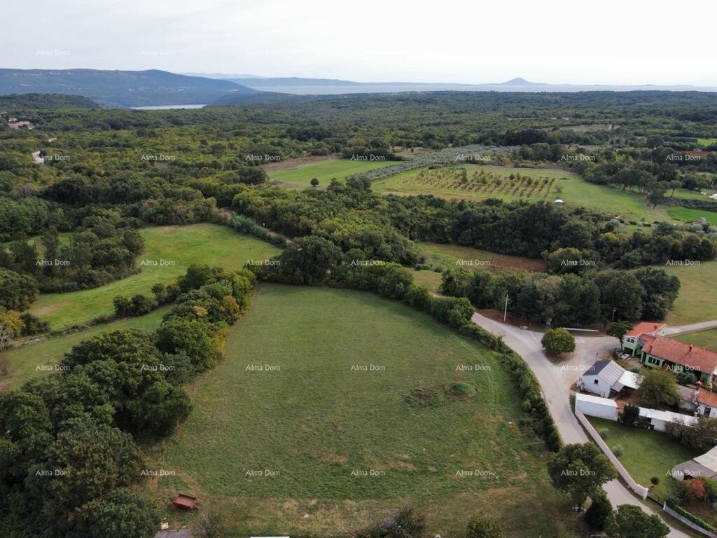Image 6204614 - 1