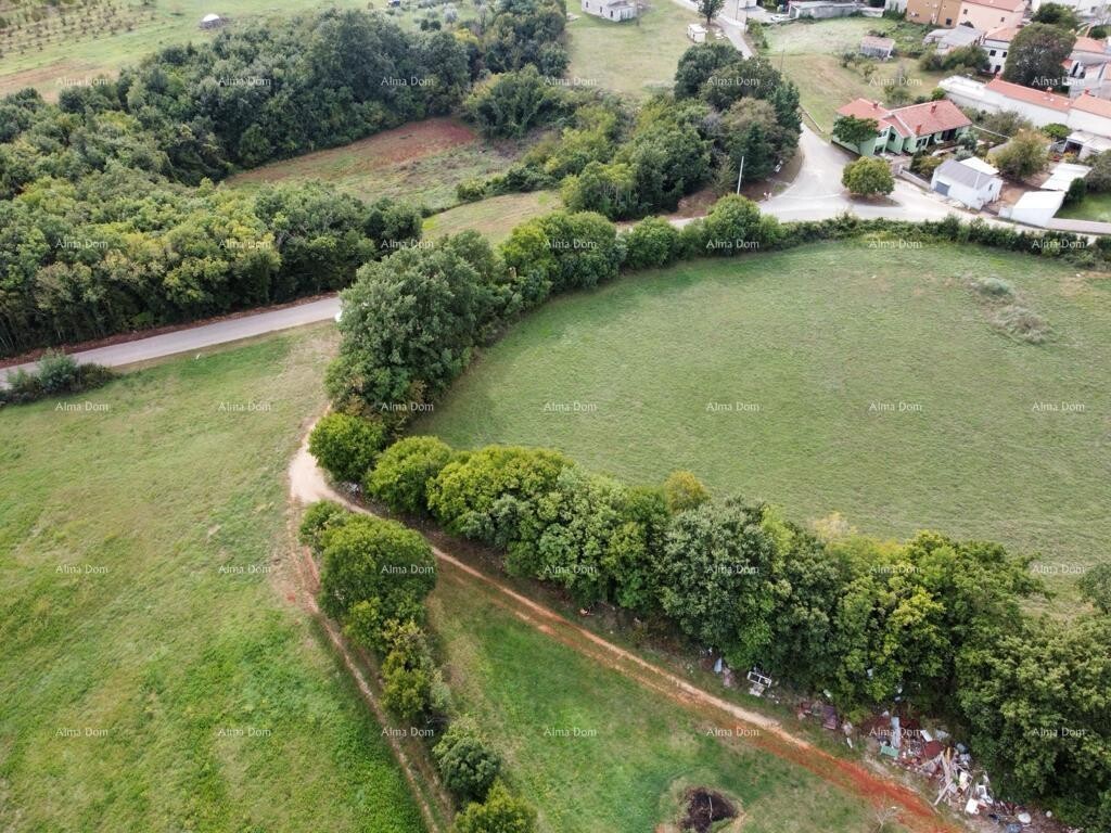 Image 6204614 - 6