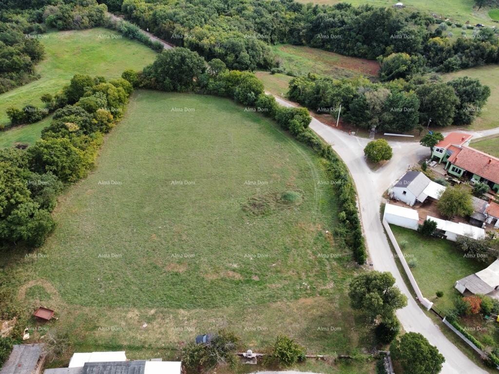 Image 6204614 - 3