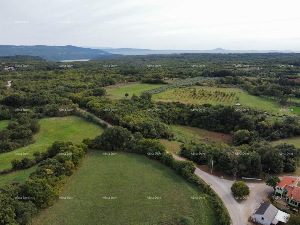 Image 6204614 - 2
