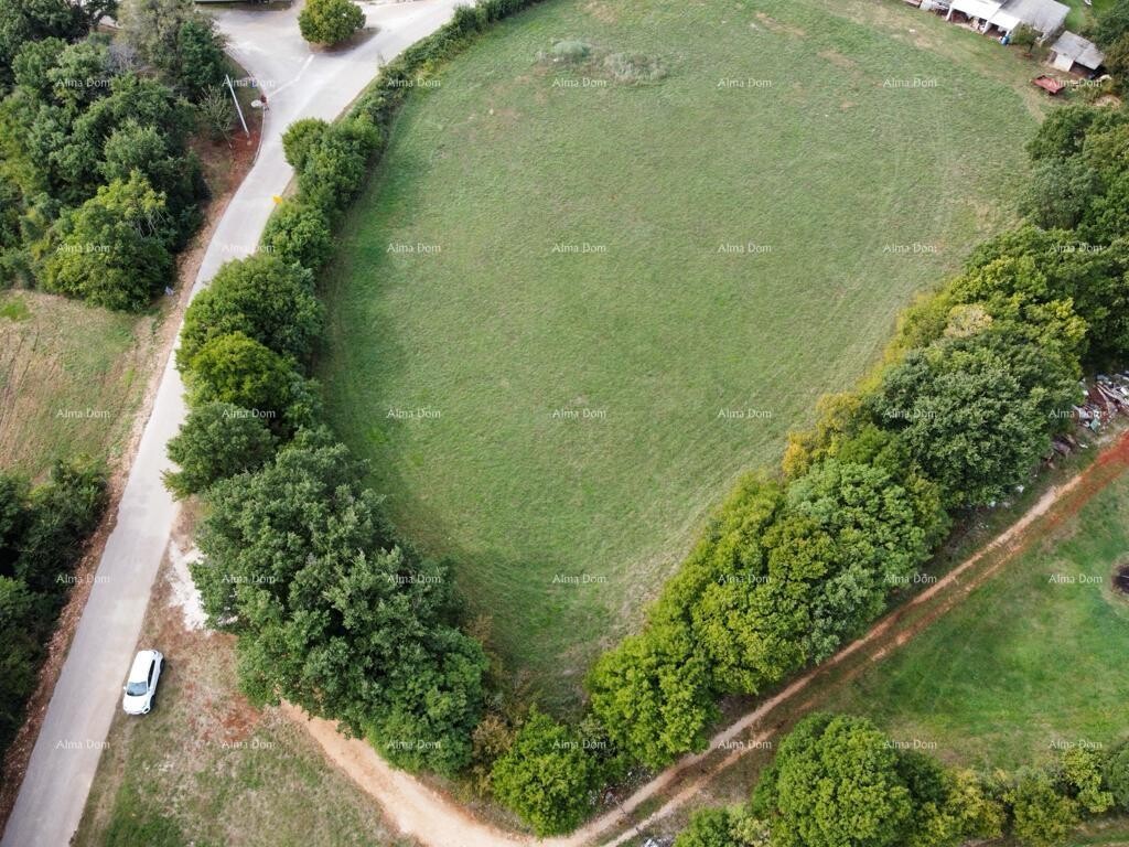 Image 6204615 - 8