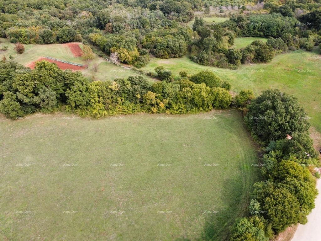Image 6204615 - 1