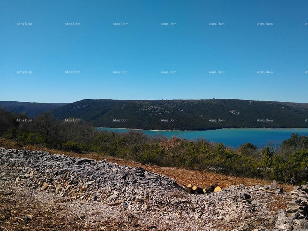 Image 6204709 - 1