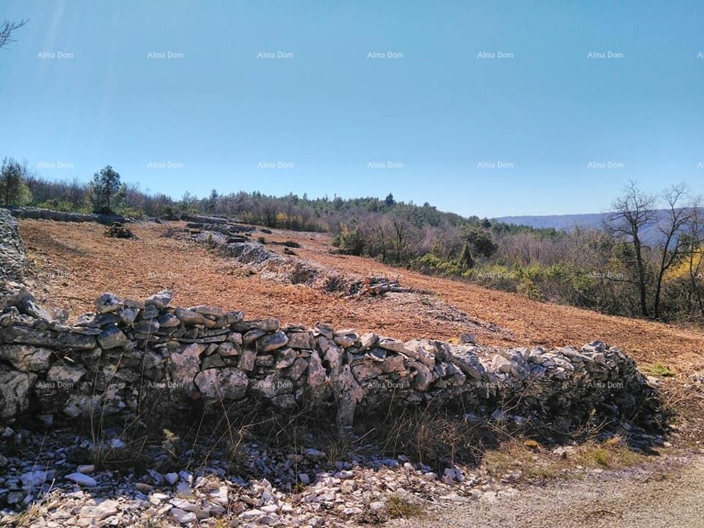 Image 6204709 - 3
