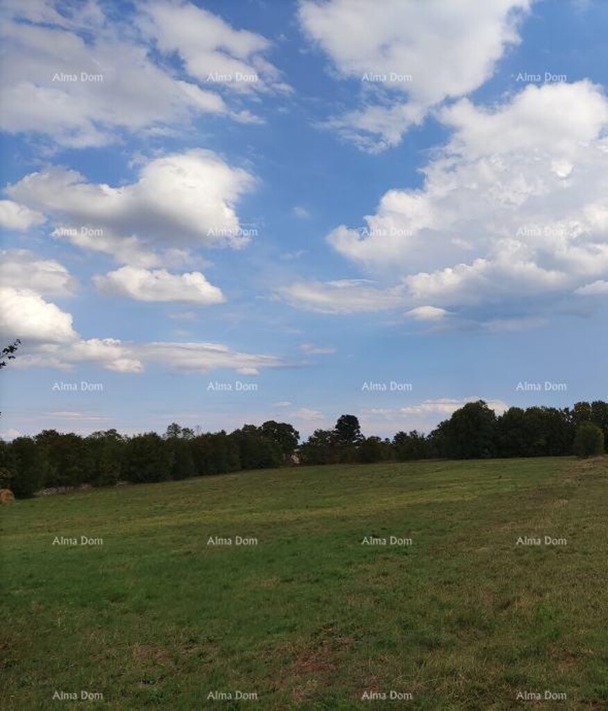 Image 6204723 - 1