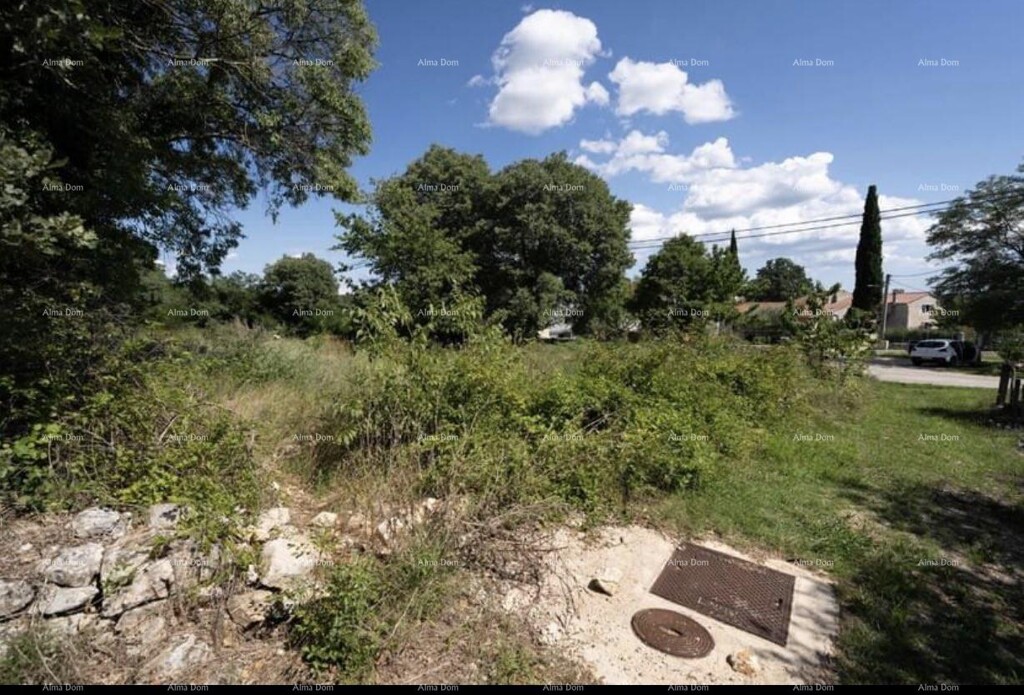 Image 6204724 - 4