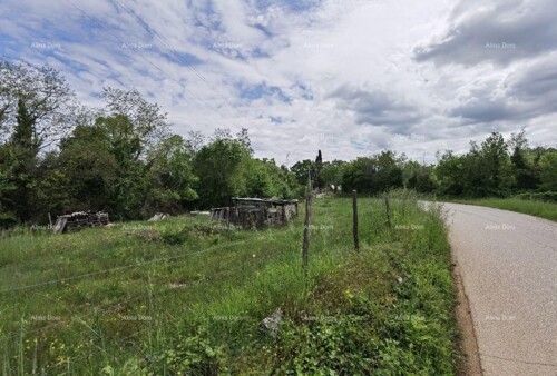 Thumbnail 6204741 - 3