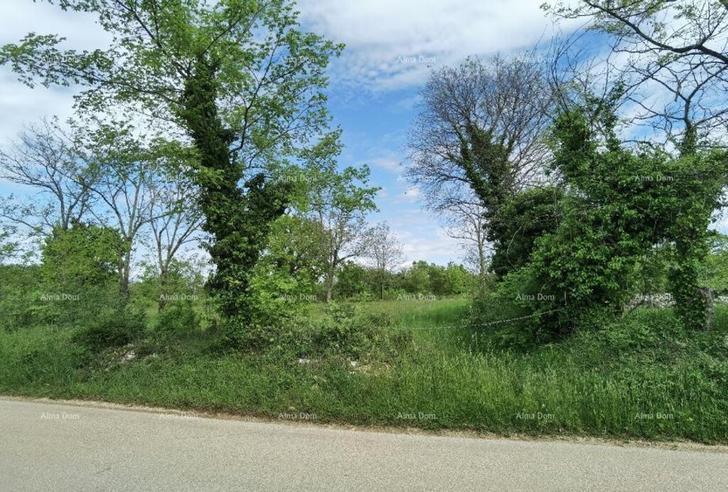 Image 6204741 - 11