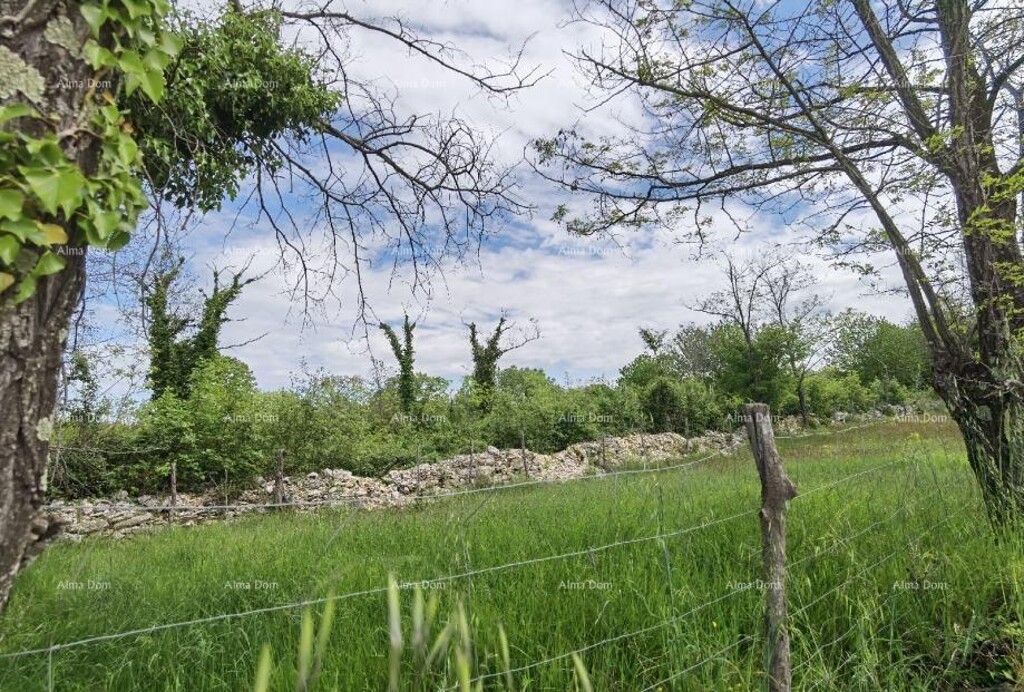 Image 6204741 - 4