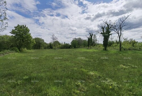 Thumbnail 6204741 - 13