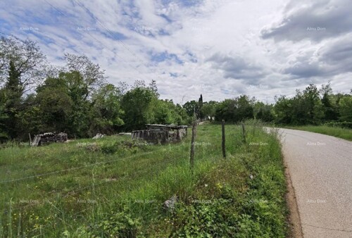 Thumbnail 6204741 - 2
