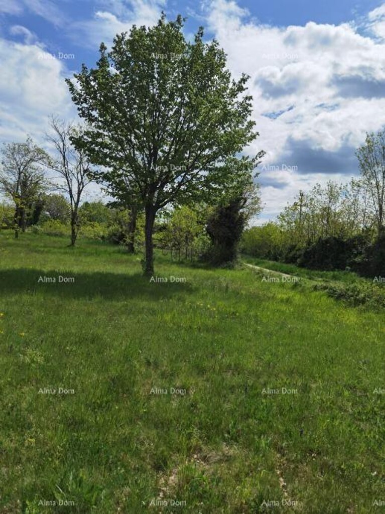 Image 6204741 - 15