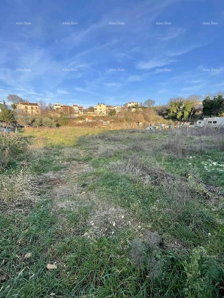 Image 6204746 - 1