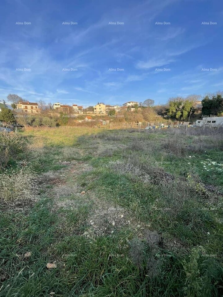 Image 6204746 - 3