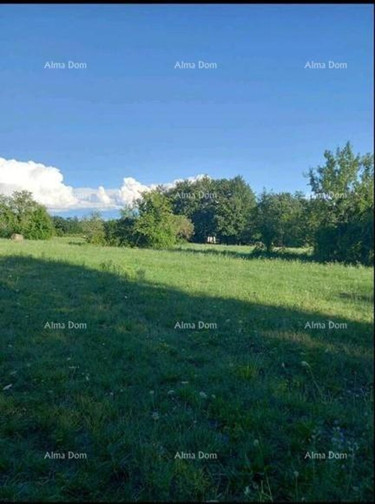 Image 6204749 - 3