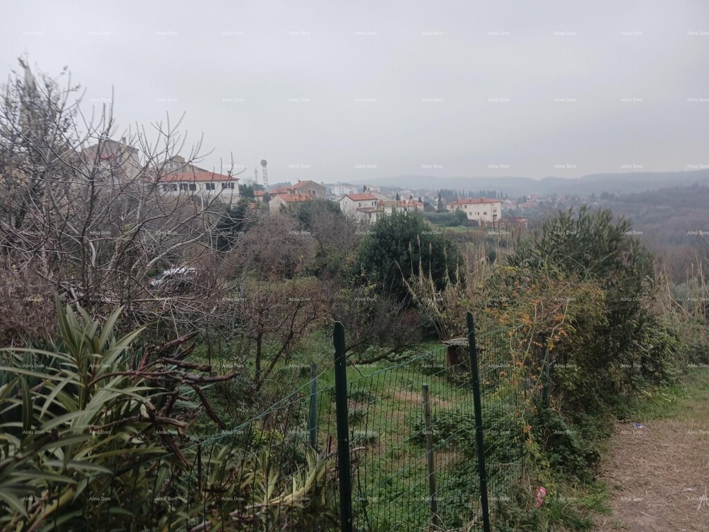 Image 6204755 - 1