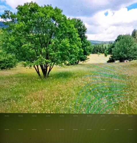 Thumbnail 6204765 - 1