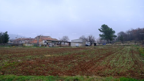 Thumbnail 6204775 - 1