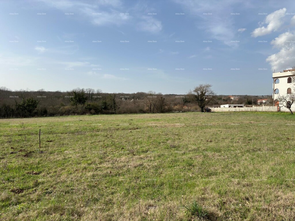 Image 6204807 - 3