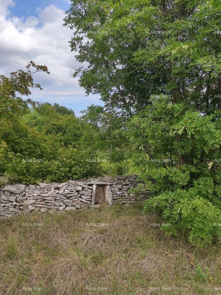 Image 6204831 - 3