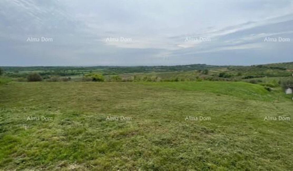 Image 6204845 - 4