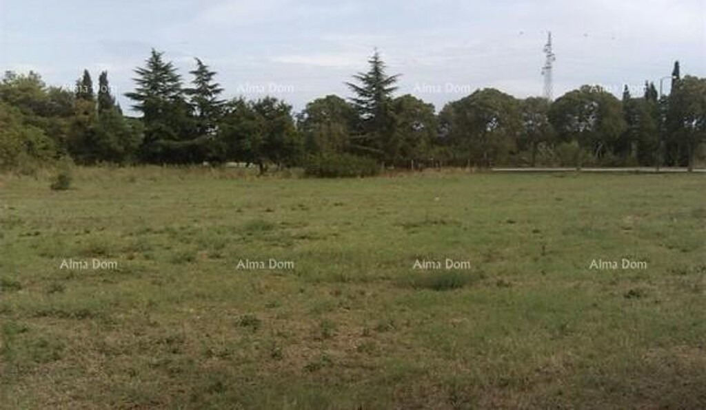 Image 6204862 - 1