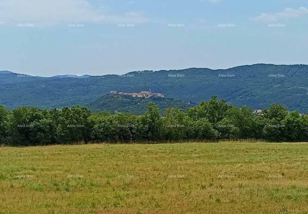 Image 6204866 - 1