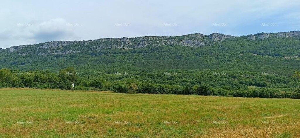 Image 6204866 - 2