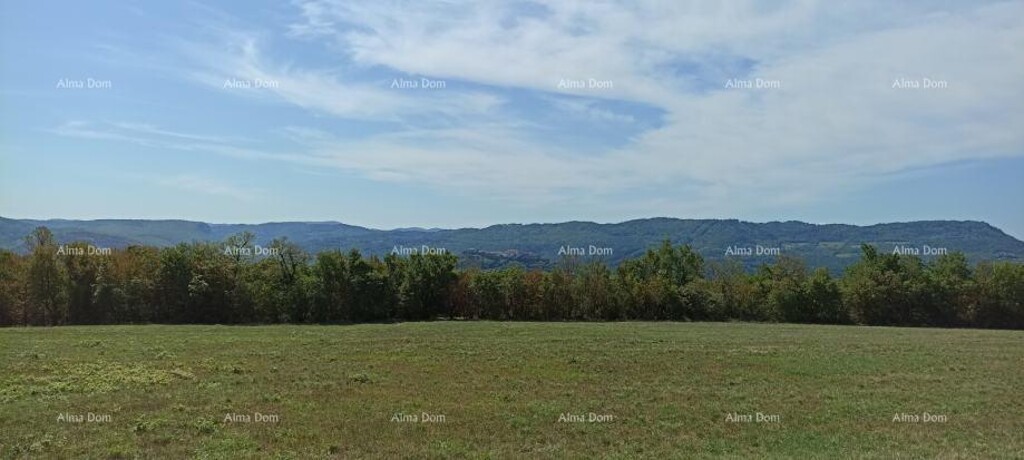 Image 6204866 - 3