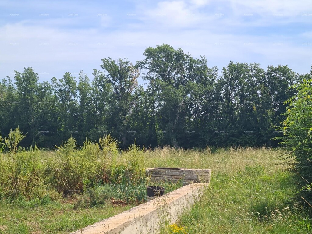 Image 6204884 - 2